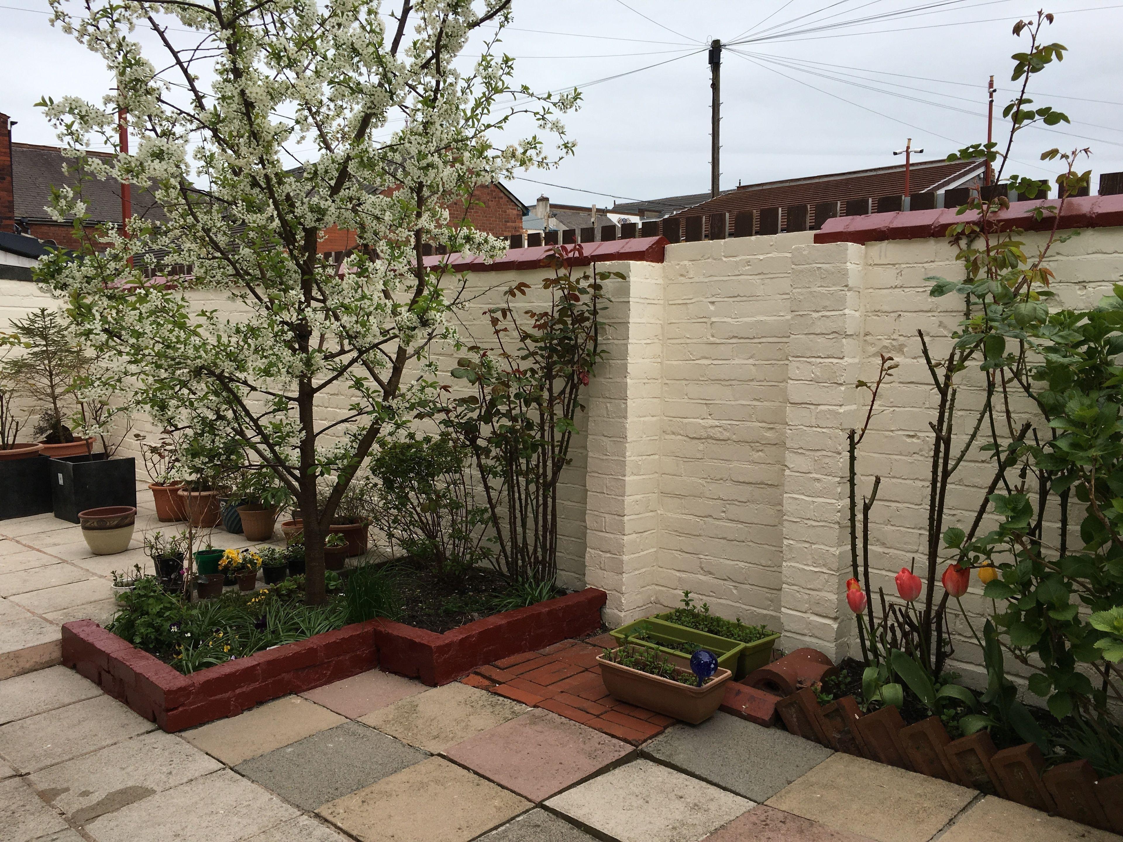 The Address — Photos 1